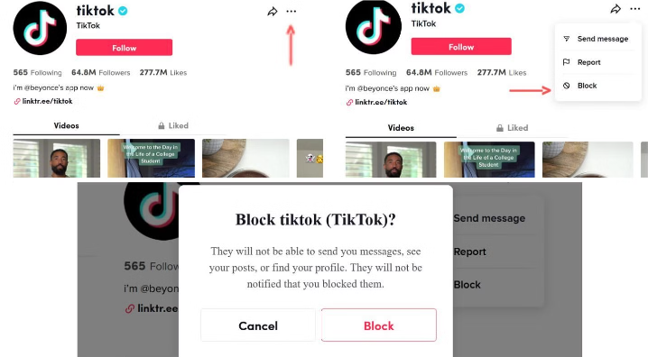 Using tiktok website